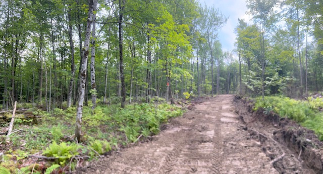 Entrepreneur Forestier Amenagement YLR